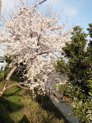 城跡石碑